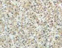 Kittrich Corp , Shelf Mat Kittrich Corp 05F-C6P46-06 Grip Prints ™, 12" Width x 5 Feet Length, Beige Granite